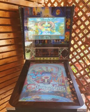 Flipper Virtual 43 Playfield 24 Backglass